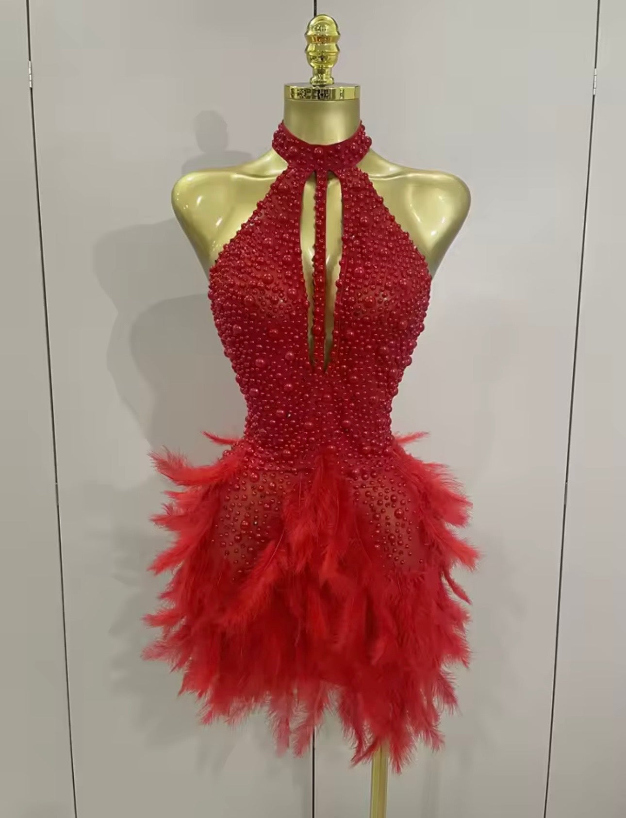 The LUCINDA PEARL FEATHER Dress £89